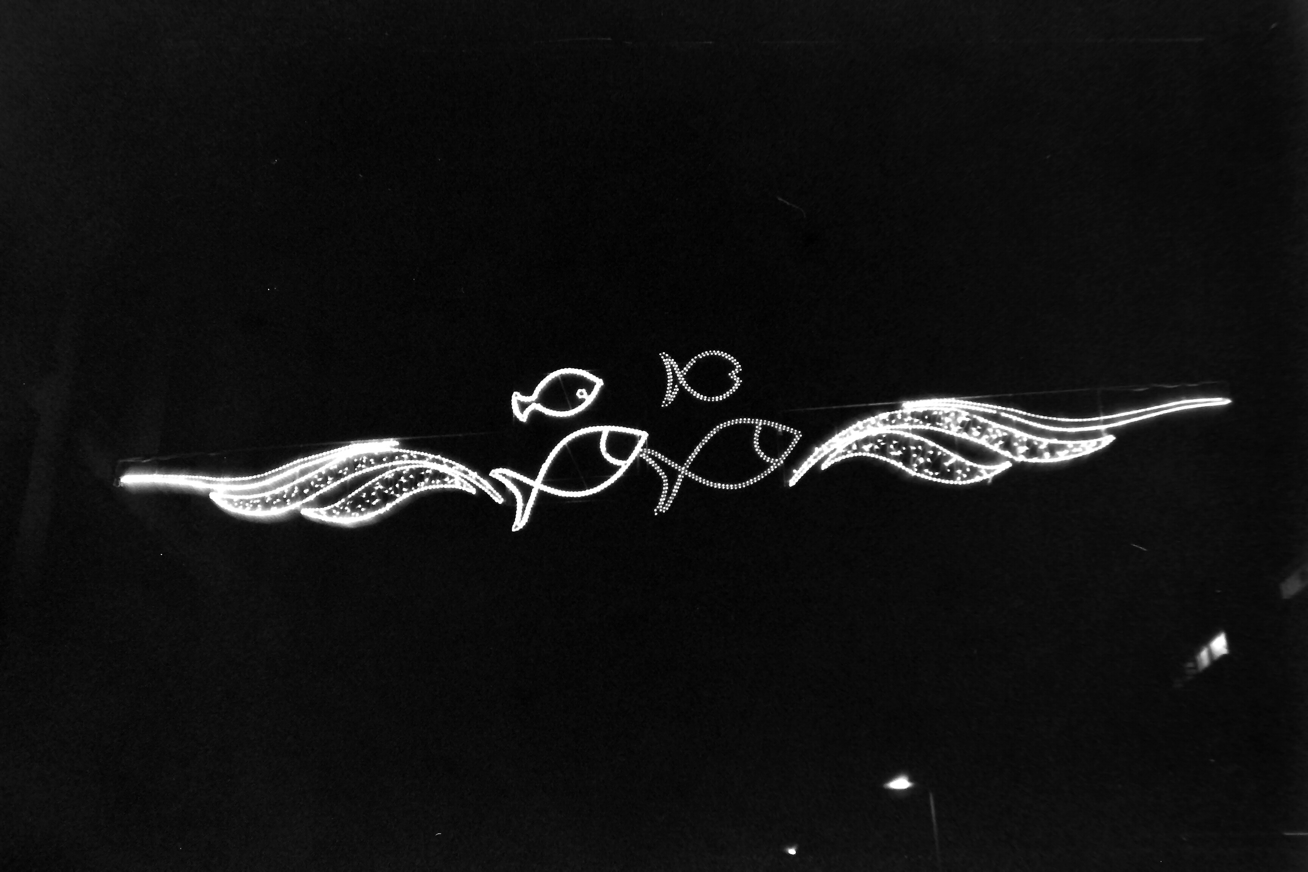 A black and white photos of some fish streetlights