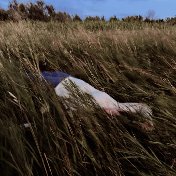 Kate de Rosset - It Will Burn