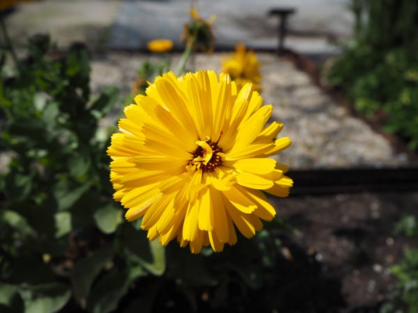 Jardín Botánico Atlántico Gijón